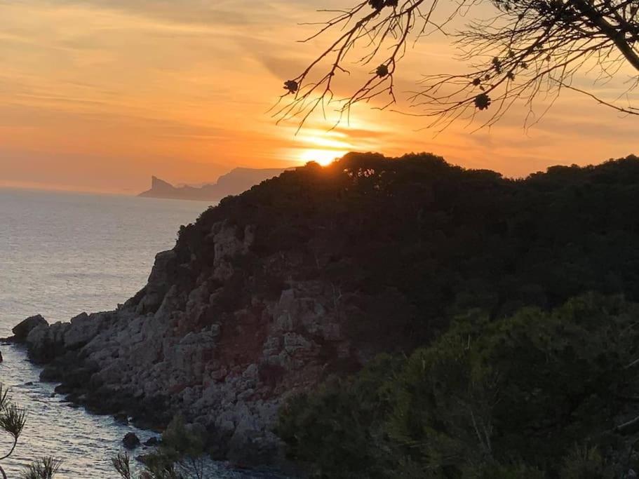 Athena Ohana, Les Pieds Dans L'Eau Bandol Exteriör bild